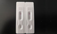 PCR