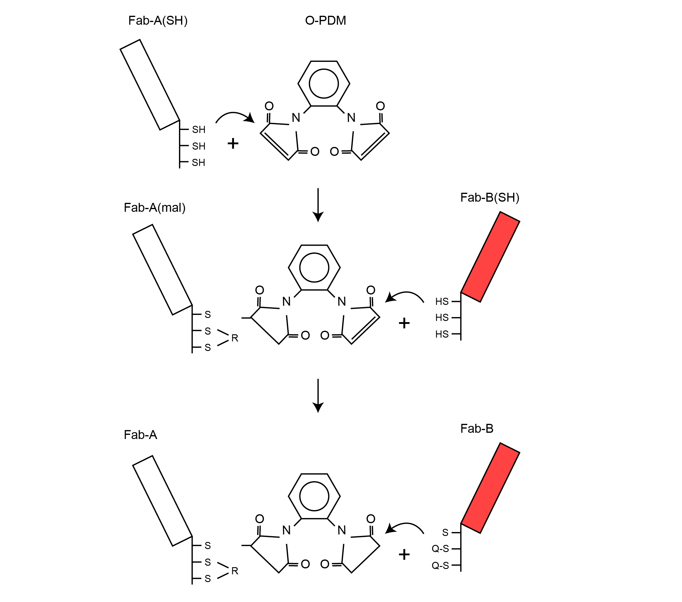 introduction