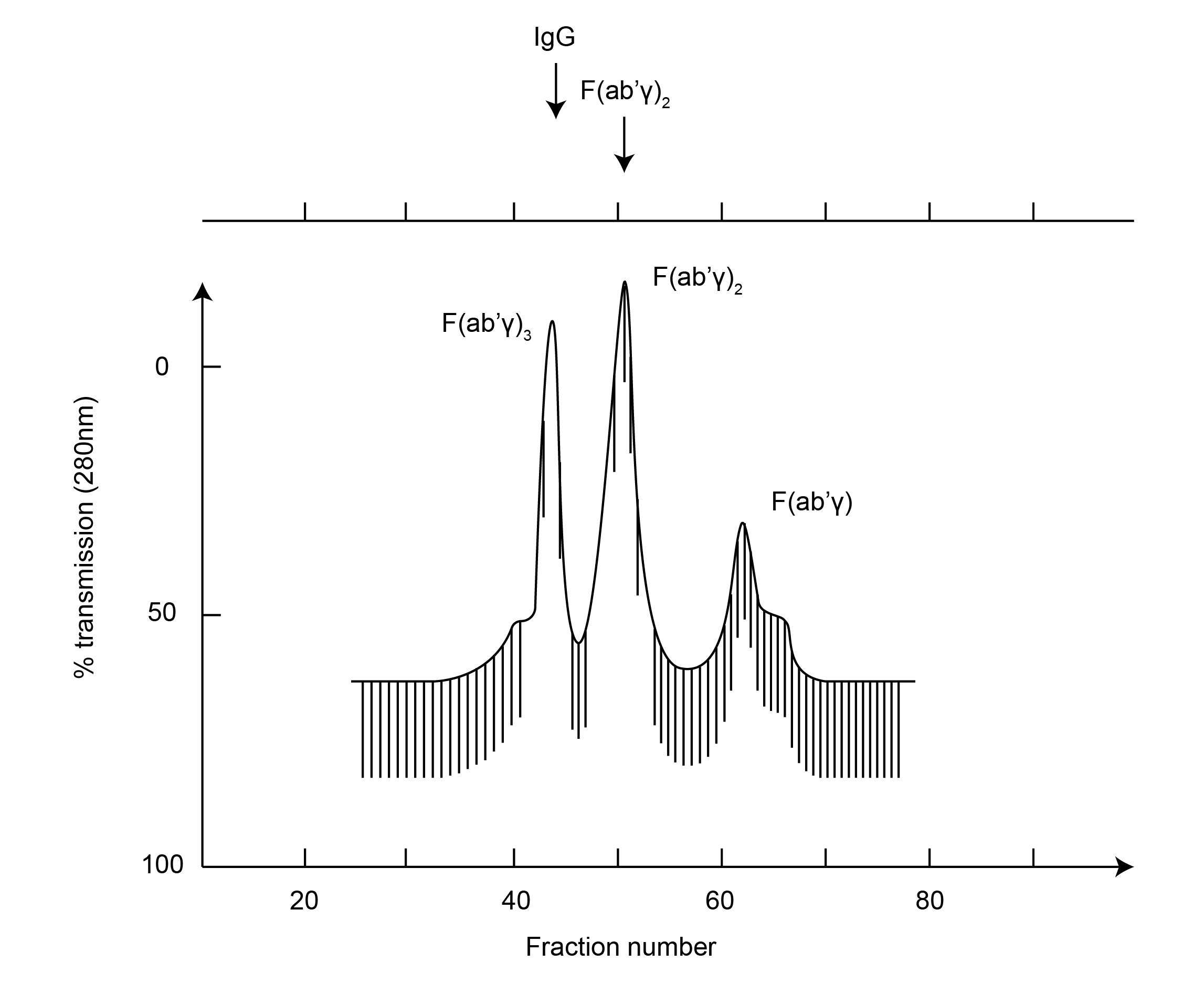  HPLC Monitoring